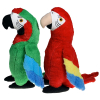 Preston & Pandora The Parrots (16″)