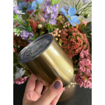 1 GEWELDIGE GOLD CUP INOX 