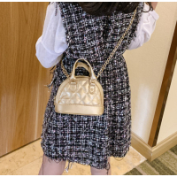 Handtas/Schoudertas Silver